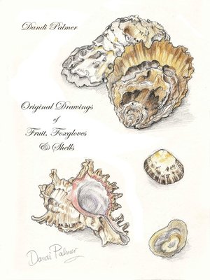 cover image of Original Drawings of Fruit, Foxgloves and Shells